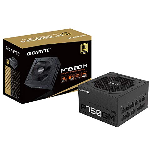GIGABYTE Modular Fuente ALIM. P750GM 80...