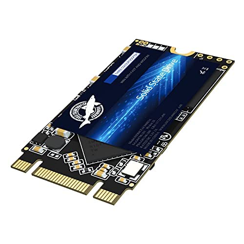 Dogfish M.2 2242 SSD 2TB 3D NAND QLC SATA III 6Gb/s Unidad de Estado sólido Interna Compatible con PC de sobremesa portátil (DF2242 2TB)