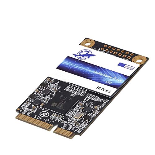 Dogfish SSD Msata 2TB Unidad Interna de Estado Sólido Mini Sata SSD Disk (2TB)